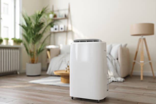 Best Best HVAC Companies  in Clear Lake, SD